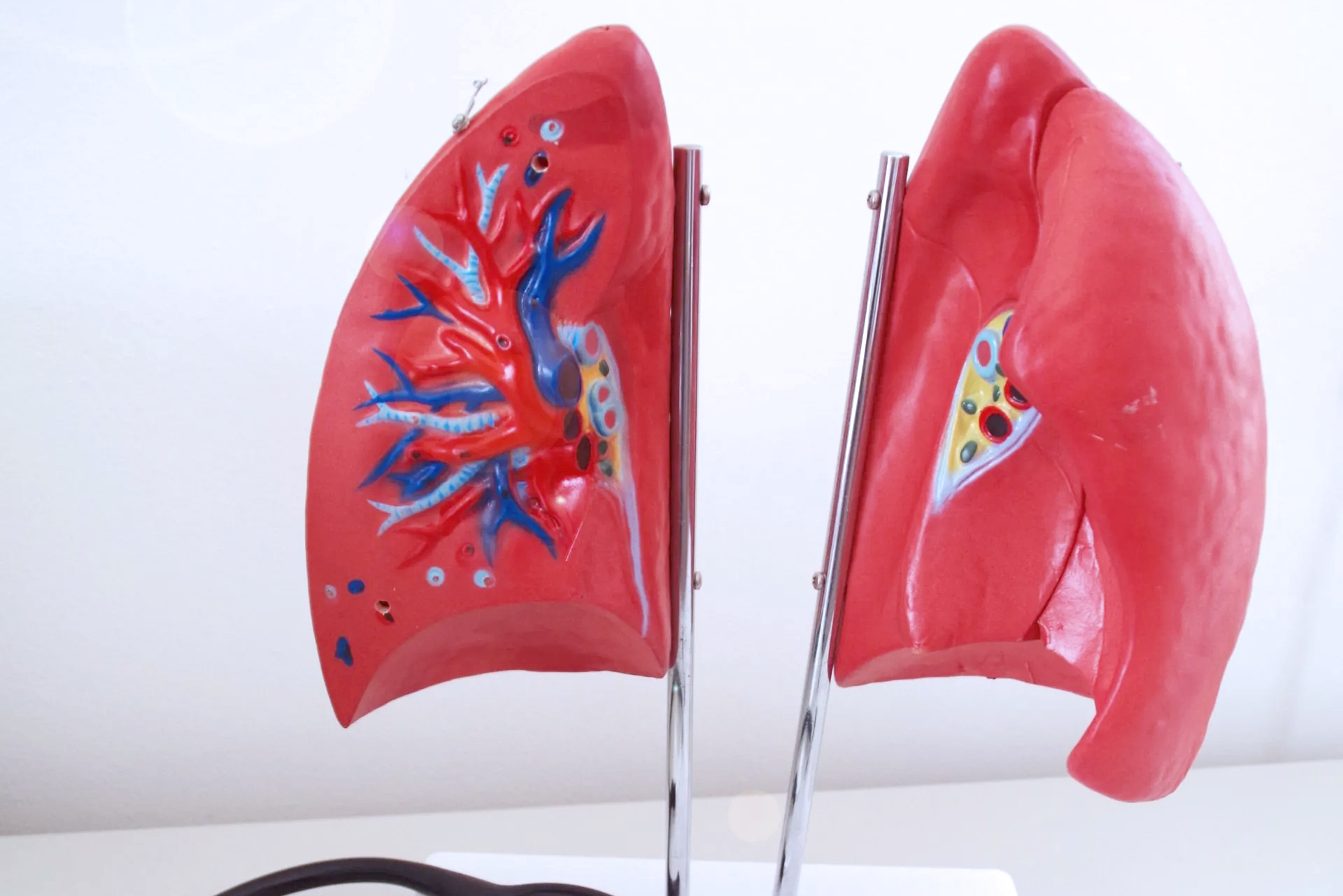 Pneumologie Kümmersbruck - Moderne Praxisräume für Lungendiagnostik